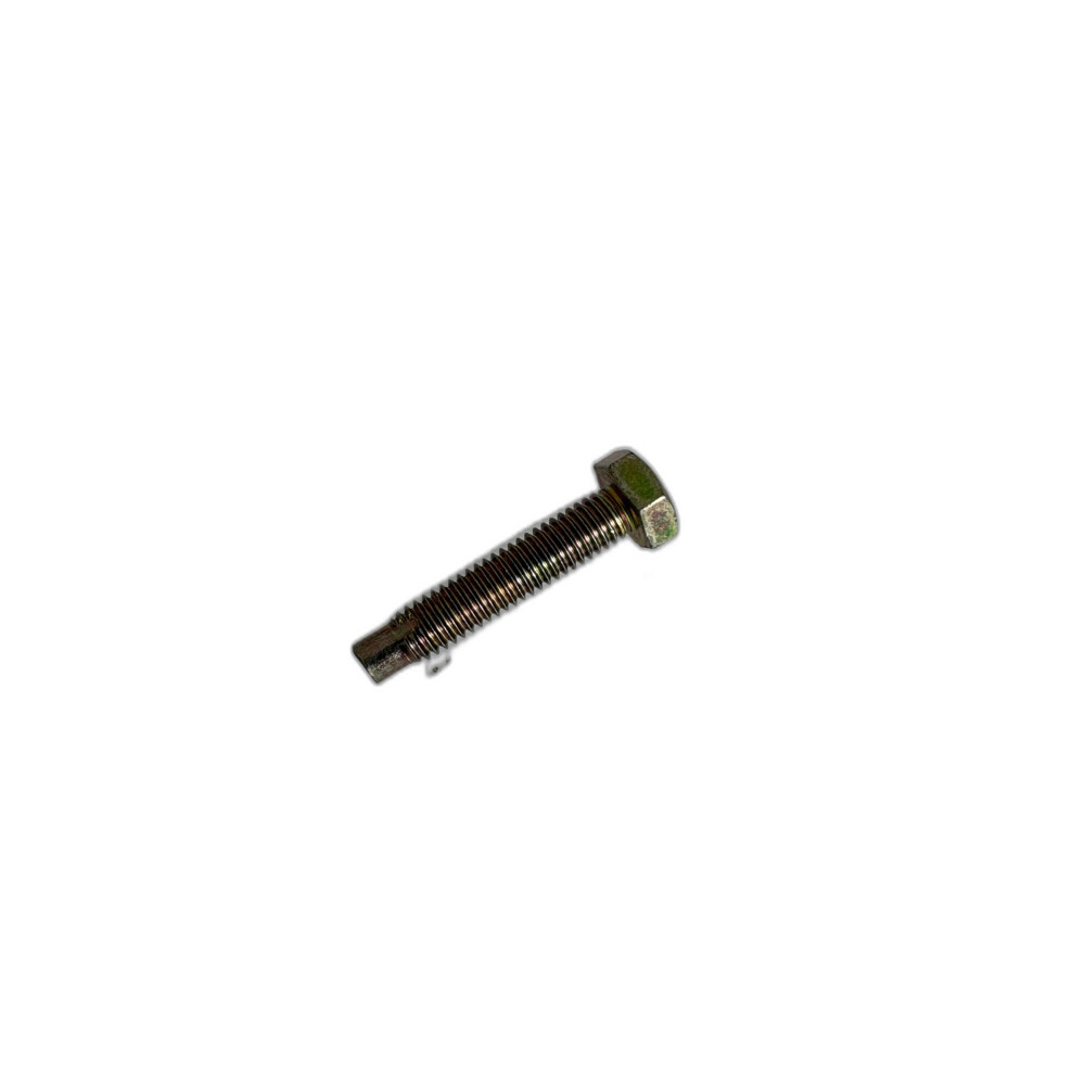 Screw GG106301L
